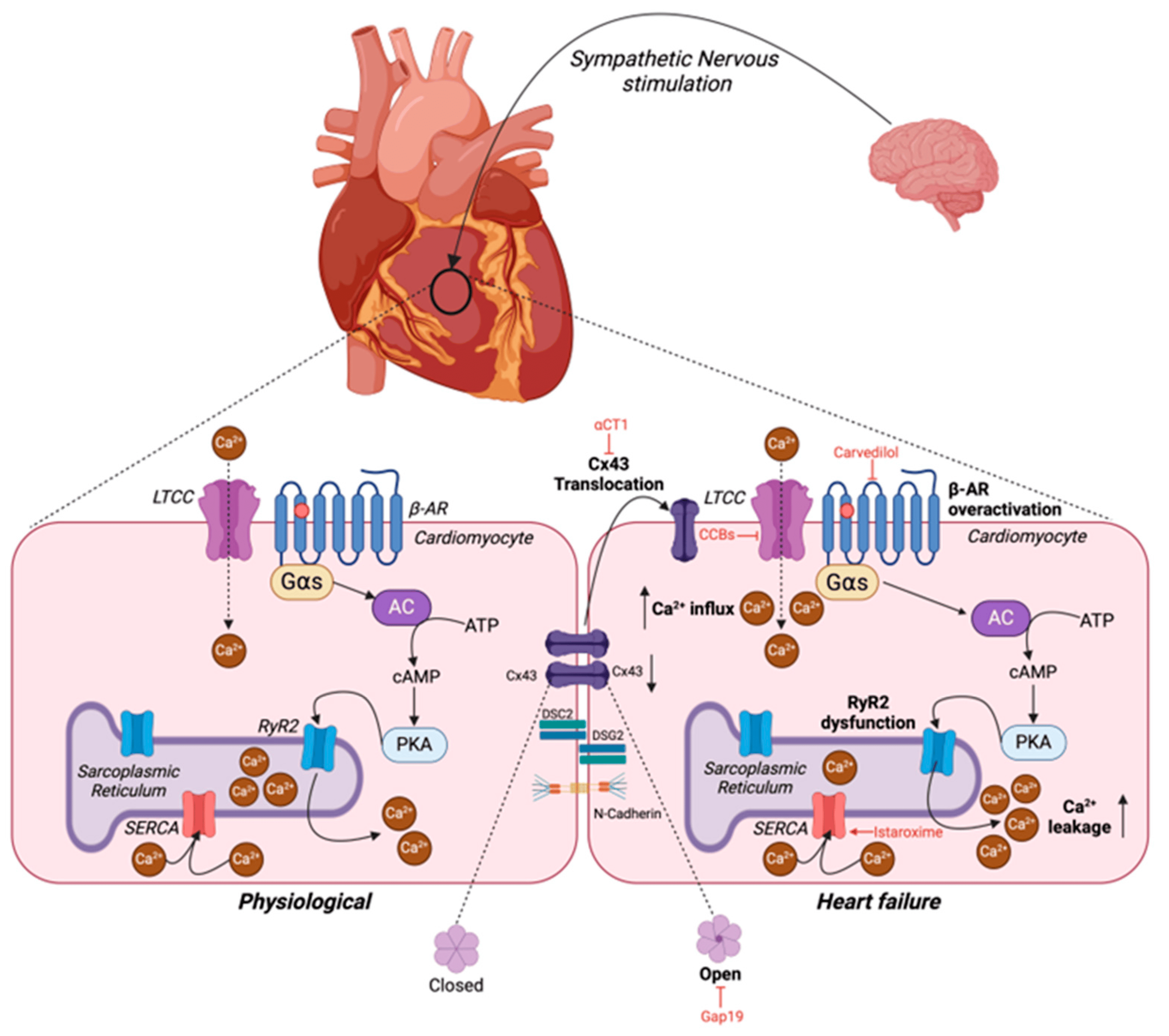 ⛩️ 구와나 총사(가스가 신사) 이미지 8